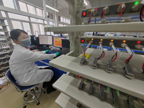 中國首創(chuàng)！洛陽牡丹殼變廢為寶，開啟鈉電池負(fù)極材料新紀(jì)元